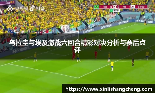 MK体育在线投注